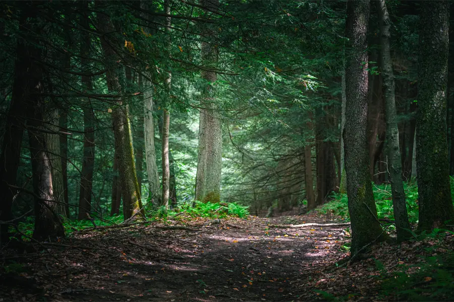 clarion loop trail shippenville, pa