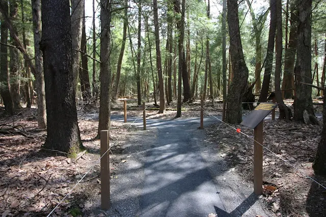 cook forest sensory trail cooksburg, pa