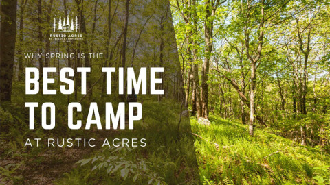 Why spring is the best time to camp at rustic acres
