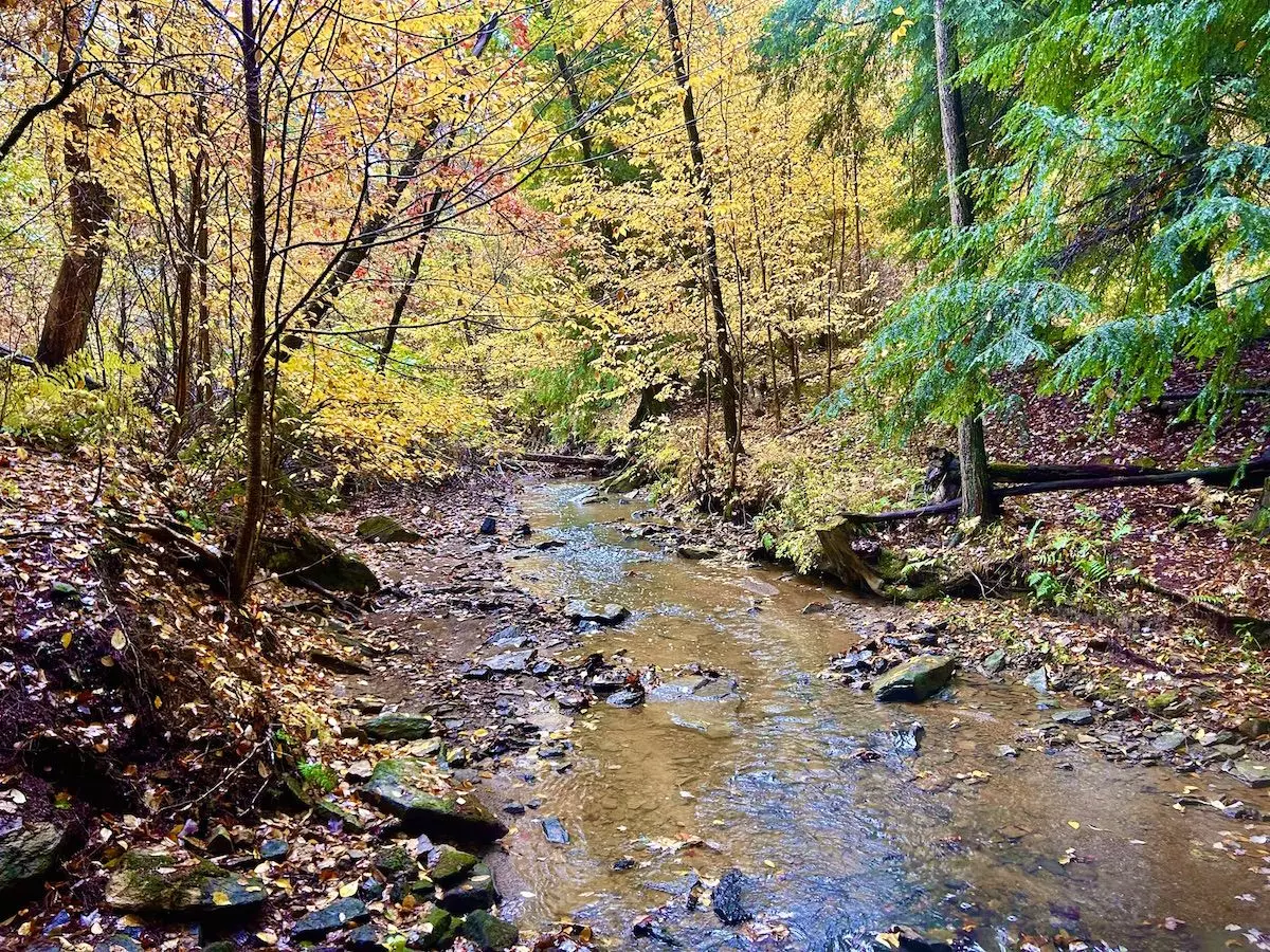 Rustic Acres fall creek